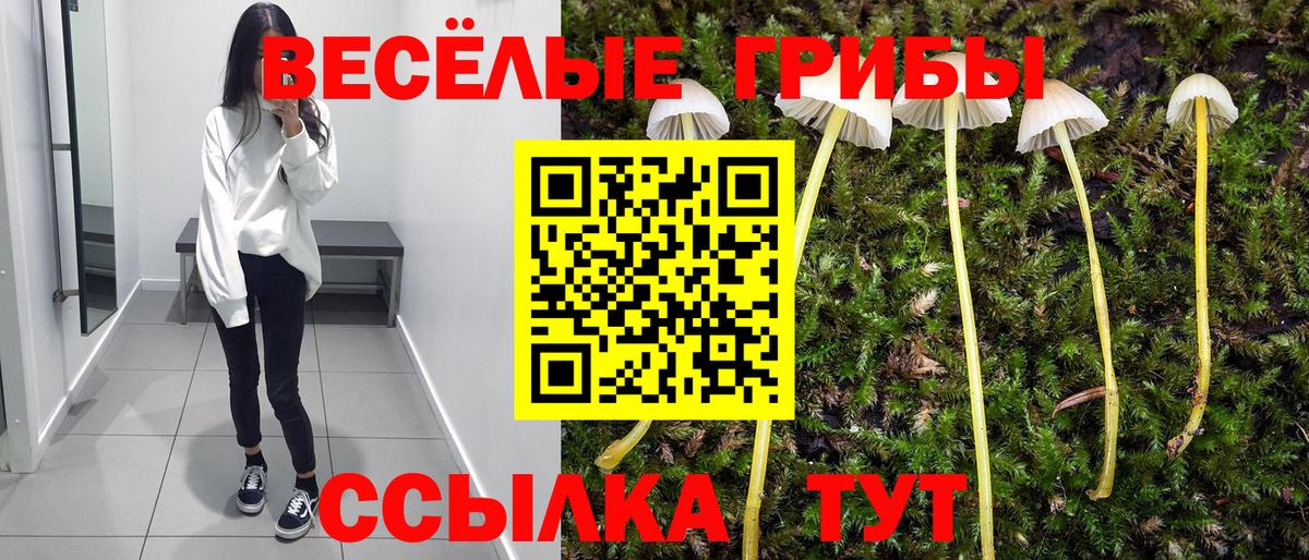 Галлюциногенные грибы прущие грибы Краснокамск