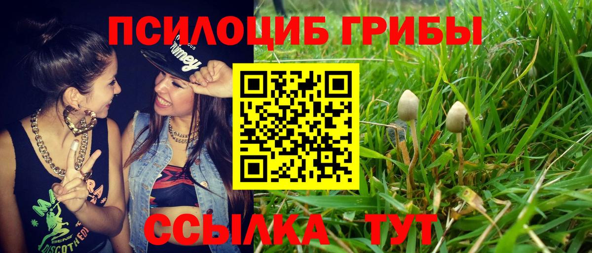 Галлюциногенные грибы MAGIC MUSHROOMS  Галлюциногенные грибы ЛСД  Вход с VPN  Краснокамск 